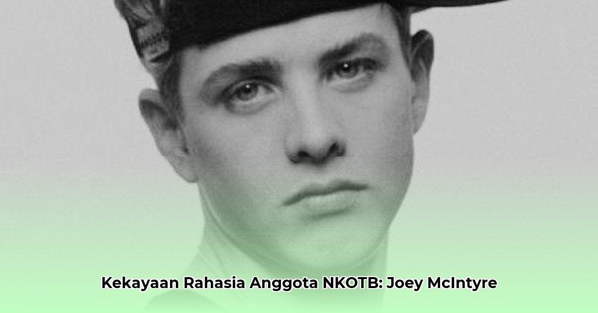 joey mcintyre net worth